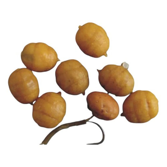 Alune Tigrate artificiale Enterprise Tackle Mini Pop-Up Tiger Nut
